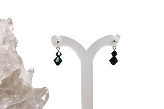 Jet Black Crystals Earrings