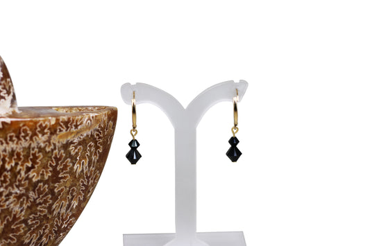 Jet Black Crystals Earrings