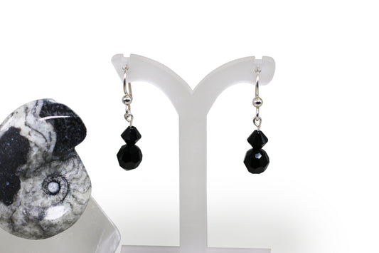 Jet Black Crystals Earrings