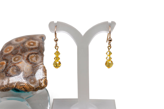 Topaz Crystals Earrings