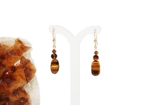 Tiger Eye Gemstones Earrings